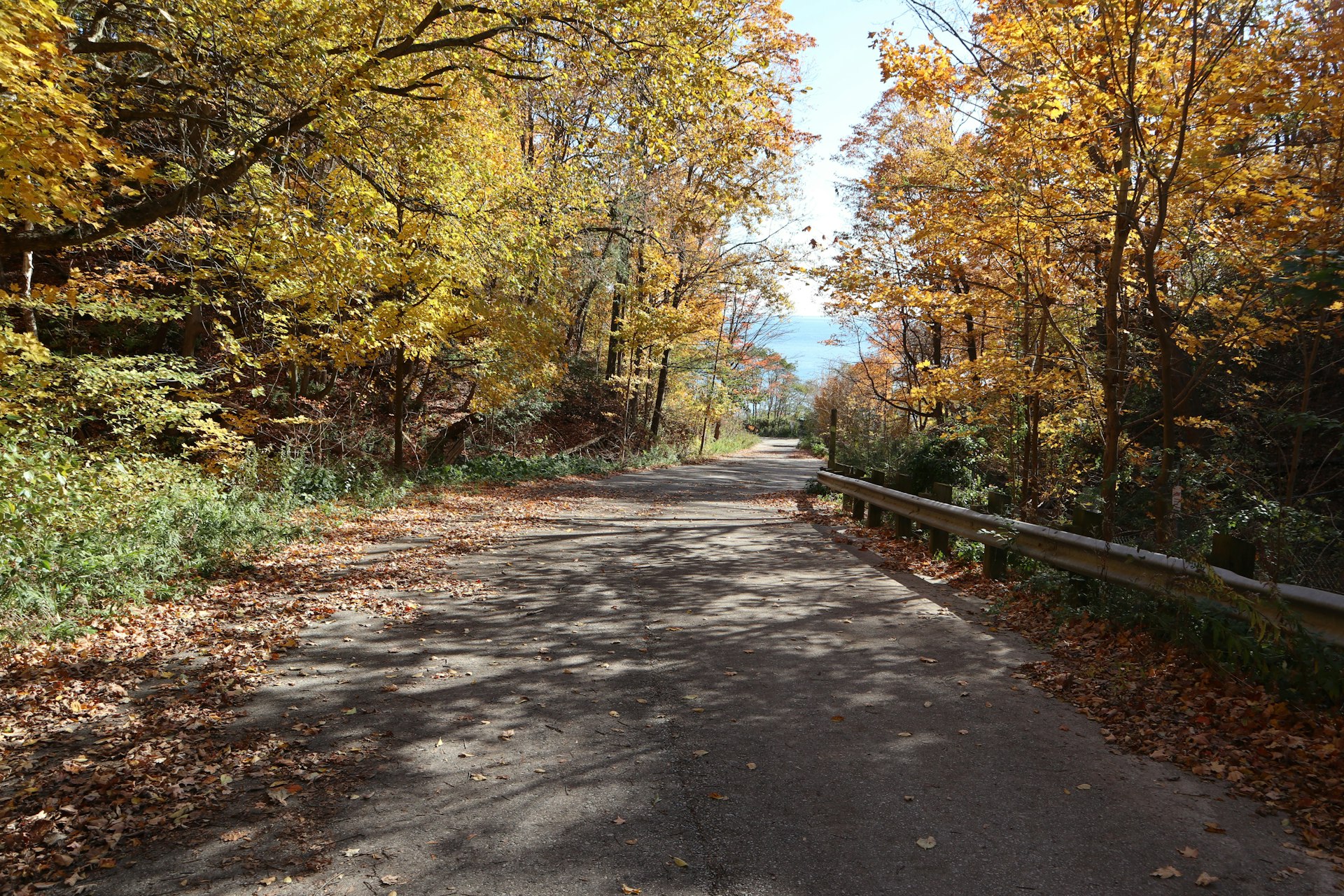 a road surrounded by trees with yellow and orange leaves